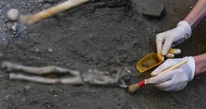 Ancient Pompeii Discovery: Family Tragedies Frozen in Time - image 3