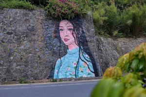 The Mysterious Girl Mural: Cat Ba Island’s Newest Tourist Hotspot - image 5