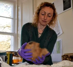 Shocking Secrets Revealed After Scientists Examine Mysterious Bronze Age Female Remains - image 1