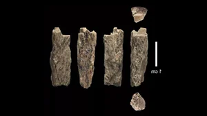 Decoding the Unexpected Secrets of Ancient Human Ancestors and Evolution - image 4
