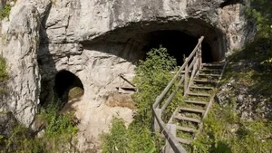 Decoding the Unexpected Secrets of Ancient Human Ancestors and Evolution - image 7