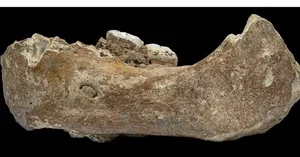 Decoding the Unexpected Secrets of Ancient Human Ancestors and Evolution - image 3