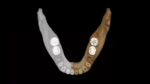 Decoding the Unexpected Secrets of Ancient Human Ancestors and Evolution - image 2