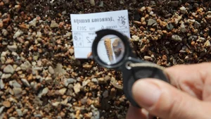 Decoding the Unexpected Secrets of Ancient Human Ancestors and Evolution - image 8