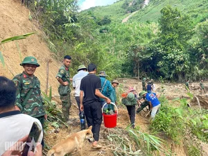 Soldiers of Regiment 82 Brave Harsh Terrains to Build Roads and Support Remote Communities - image 2