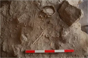 Archeological Mystery: The Discovery of a 2,500-Year-Old Burial Site Containing 90 Child Remains - image 3