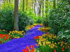 Discover the World's Most Beautiful and Captivating Forests - image 4