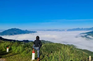Discover the Scenic Landscapes of Ho Van Cuong's Beautiful Hometown - image 4