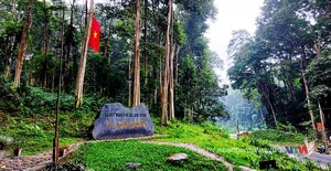 Discover the Scenic Landscapes of Ho Van Cuong's Beautiful Hometown - image 5