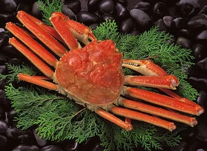 The Giant Crab Species That Once Sold for an Astonishing $70,000 - image 7