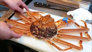 The Giant Crab Species That Once Sold for an Astonishing $70,000 - image 5