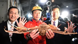 The Giant Crab Species That Once Sold for an Astonishing $70,000 - image 4