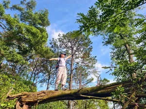 Trekking Ham Lon Mountain: A Guide to Exploring the Roof of Hanoi - image 9
