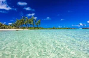 Surprising Facts You Might Not Know About the Pacific Island Nation of Vanuatu - image 8