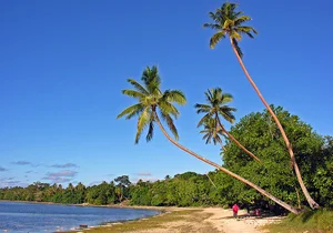 Surprising Facts You Might Not Know About the Pacific Island Nation of Vanuatu - image 6