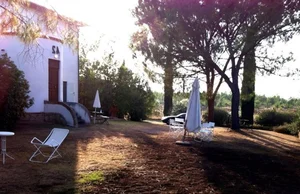 Inside the Luxury Homes of Ngo My Uyen: From a Tuscan Estate to a Thao Dien Villa - image 3