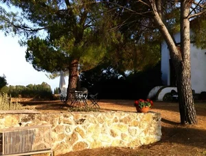 Inside the Luxury Homes of Ngo My Uyen: From a Tuscan Estate to a Thao Dien Villa - image 5