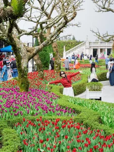 Spring Magic: The Tulip Festival and Tet Celebrations at Ba Na Hills - image 2