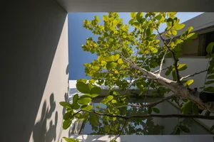 IP House: Modern 2-Story Design Focused on Seamless Family Connection - image 5