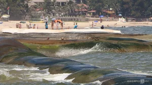 The Environmental Crisis: Messy Beaches in Mui Ne - image 4