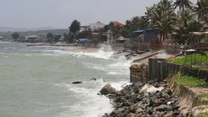 The Environmental Crisis: Messy Beaches in Mui Ne - image 7
