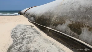 The Environmental Crisis: Messy Beaches in Mui Ne - image 2