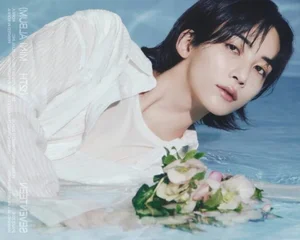 Ranking the Smartest Male K-Pop Idols Under HYBE: Intellectual Talents Beyond the Stage - image 2