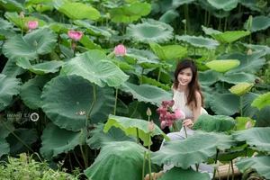 Trang Sunhi Stunning Ao Yem and Lotus Flower Photoshoot Gallery - image 14