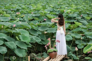 Trang Sunhi Stunning Ao Yem and Lotus Flower Photoshoot Gallery - image 6