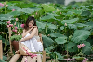 Trang Sunhi Stunning Ao Yem and Lotus Flower Photoshoot Gallery - image 18