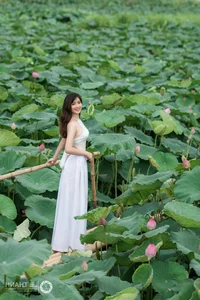 Trang Sunhi Stunning Ao Yem and Lotus Flower Photoshoot Gallery - image 17