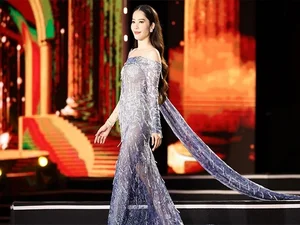 Where Are They Now? The Inspiring Journeys of Vietnam’s Miss Earth Beauties - image 1