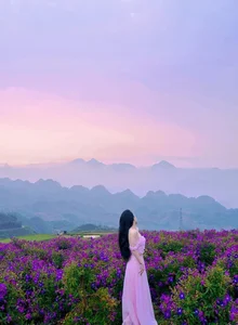 Discover Doi Sim Suoi Bon: A Paradise of Purple Flowers and Cloud Hunting - image 7