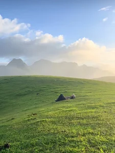 Discover Doi Sim Suoi Bon: A Paradise of Purple Flowers and Cloud Hunting - image 9