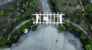 A Labor of Love: How a Husband Transformed a Wild Garden into a Stunning Rose Paradise for His Wife - image 2