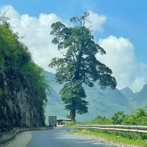 Discover Ha Giang: Immerse Yourself in Majestic Wild Landscapes and Rocky Mountains - image 14