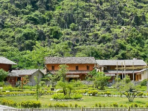 Discover Ha Giang: Immerse Yourself in Majestic Wild Landscapes and Rocky Mountains - image 17
