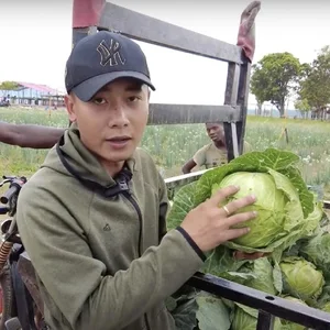 Exploring the Lush Green Vegetable Farm of Quang Linh Vlogs in Africa - image 3