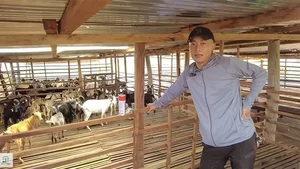Exploring the Lush Green Vegetable Farm of Quang Linh Vlogs in Africa - image 4