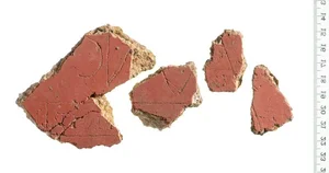 Ancient Roman Frescoes Revealed: Restoring 2,000-Year-Old Masterpieces from Shattered Fragments - image 4