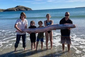 Kayakers Experience Thrilling Encounter with Rare Doomsday Oarfish - image 1