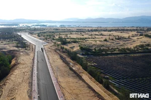 The 100 Billion VND Road: A Scenic Journey Through Vietnam's Coastal Dunes - image 6