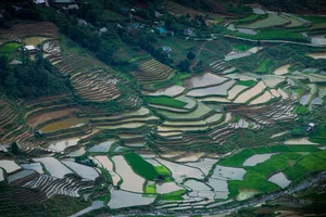 Captivating Beauty: Mu Cang Chai Rice Terraces During the Flooding Season - image 5