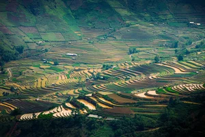 Captivating Beauty: Mu Cang Chai Rice Terraces During the Flooding Season - image 4