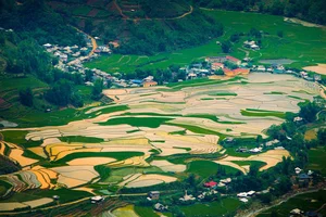 Captivating Beauty: Mu Cang Chai Rice Terraces During the Flooding Season - image 1