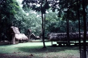 Uncovering Mayan Secrets: Human Remains Found in Ancient Cave Systems - image 9