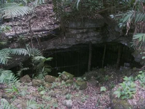 Uncovering Mayan Secrets: Human Remains Found in Ancient Cave Systems - image 4