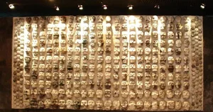 Uncovering Mayan Secrets: Human Remains Found in Ancient Cave Systems - image 1