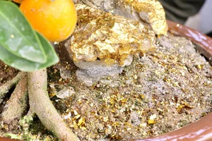 Exquisite Gold-Plated Kumquat Trees Become the Ultimate Tet 2025 Luxury Trend - image 7