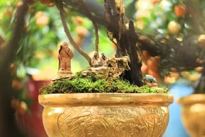 Exquisite Gold-Plated Kumquat Trees Become the Ultimate Tet 2025 Luxury Trend - image 5